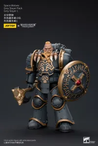 JOYTOY Space Wolves Grey Slayer Pack Grey Slayer 1 - Warhammer 40K - photo 5