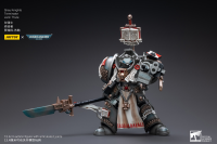 Grey Knights Terminator Jaric Thule 9