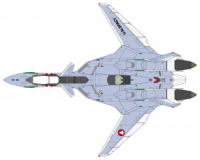 1/48  VF-19A "VF-X RAVENS" 5