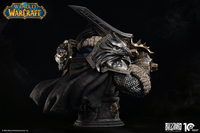 Infinity Studio X Blizzard Varian Wrynn 1/3 Bust Model 5