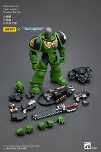 JOYTOY Salamanders Intercessors Brother Tol'vak - Warhammer 40K - photo 8