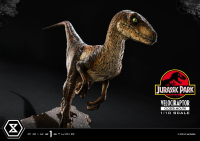 Prime Collectible Figures  Jurassic Park (Film)  Velociraptor  Closed Mouth 12