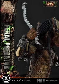 Prime 1 Studio Museum Masterline Prey Feral Predator DX Bonus Version - Live Action Movies/TV - photo 7