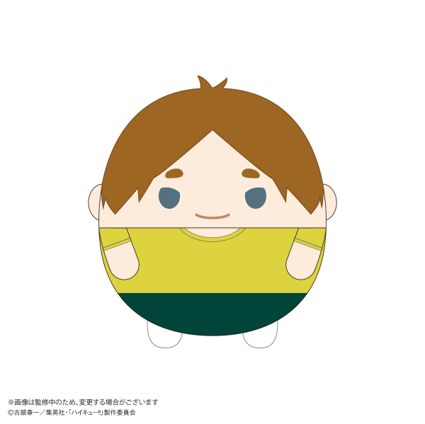 Haikyu!! FUWA KORORIN BIG 10 (Item E)