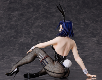Saeko Nogami: Bunny Ver. 6