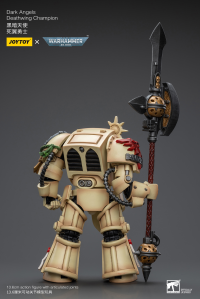 Dark Angels Deathwing Champion 5