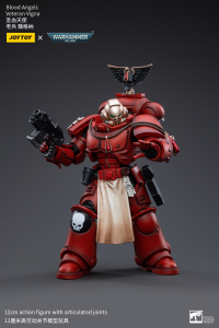 Blood Angels Veteran Vigna 2