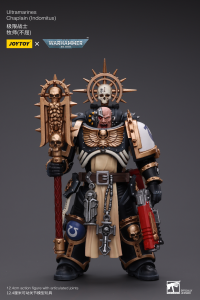 Ultramarines Chaplain(Indomitus) 2