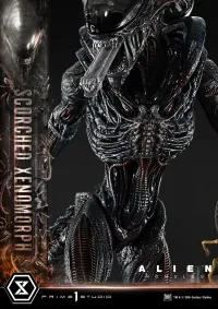 Prime 1 Studio Museum Masterline XL Alien: Romulus Scorched Xenomorph Deluxe Bonus Version - Alien (Movie Franchise) - photo 55