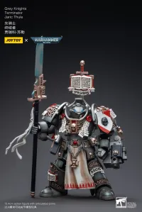 JOYTOY Grey Knights Terminator Jaric Thule - Warhammer 40K - photo 3