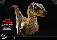 Prime Collectible Figures  Jurassic Park (Film)  Velociraptor  Closed Mouth 11