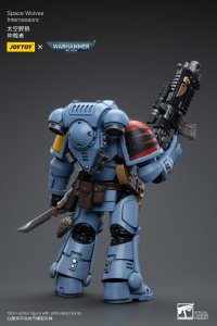 Space Wolves Intercessors 6