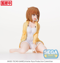 "Atelier Ryza: Ever Darkness & The Secret Hideout" PM Perching Figure "Reisalin Stout" 9