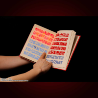 Red Spellbook Konjiki no Zatch Bell, Bandai Spirits Proplica 11