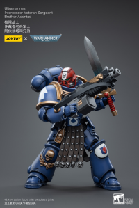 Ultramarines Intercessor Veteran Sergeant Brother Aeontas 4