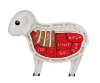 MegaHouse Lamb Puzzle , Megahouse Kaitai Puzzle - Kaitai Lamb - photo 13