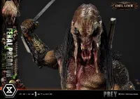 Prime 1 Studio Museum Masterline Prey Feral Predator Deluxe Version - Live Action Movies/TV - photo 70