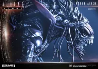 Prime 1 Studio Premium Masterline Aliens (Comics) Rogue Alien Battle Diorama EX Version - Alien (Movie Franchise) - photo 60