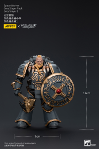 Space Wolves Grey Slayer Pack Grey Slayer 1 8