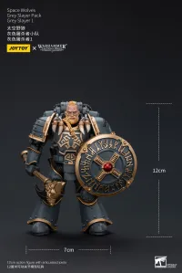 JOYTOY Space Wolves Grey Slayer Pack Grey Slayer 1 - Warhammer 40K - photo 8