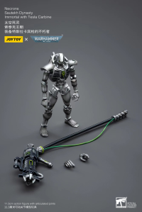 WH40K-Necrons Sautekh Dynasty Immortal with Tesla Carbine 8