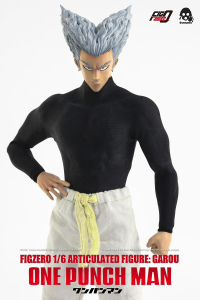 FigZero 1/6 Articulated Figure: Garou 5