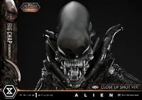 Prime 1 Studio Museum Masterline XL Alien (Film) Big Chap Xenomorph Close Up Shot Ver. Deluxe Version			 - Alien (Movie Franchise) - photo 51