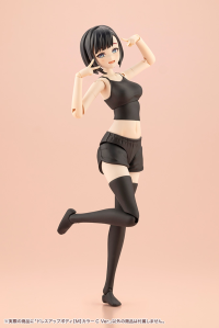 DRESS UP BODY[M] COLOR C Ver. 15