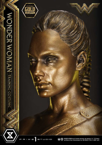 Museum Masterline Wonder Woman (Film) Wonder Woman Training Costume Gold Version 17