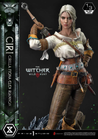 Museum Masterline The Witcher 3: Wild Hunt Ciri Fiona Elen Riannon 57