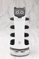 GRANDE SCALE BellaBot 2