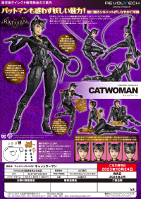 Revoltech Amazing Yamaguchi Cat Woman 5