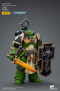 Salamanders Bladeguard Veteran 6