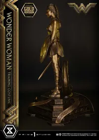 Prime 1 Studio Museum Masterline Wonder Woman (Film) Wonder Woman Training Costume Gold Version - DC Comics - photo 10