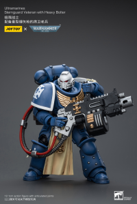 Ultramarines Sternguard Veteran with Heavy Bolter 5