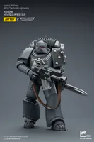 JOYTOY Space Wolves MKVI Tactical Legionary - Warhammer 40K - photo 16