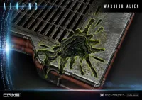 Prime 1 Studio Premium Masterline Aliens (Comics) Warrior Alien DX Bonus Version - Alien (Movie Franchise) - photo 18