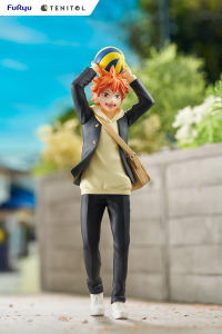 TENITOL HINATA SHOYO 4