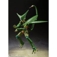 CELL FIRST FORM 6