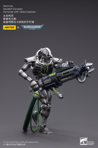 WH40K-Necrons Sautekh Dynasty Immortal with Tesla Carbine 6