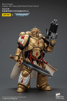 Blood Angels Captain with Heavy Bolt Pistol & Power Sword 21