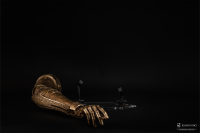 Elden Ring: Arm Of Malenia Life-Size Replica 23