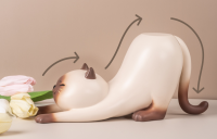ShitaukenoNEKO(Siamese cat) 3