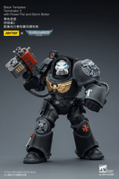 BlackTemplars Terminator 2 with Power Fist and Storm Bolter 17