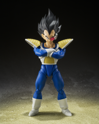 VEGETA -24000 POWER LEVEL- "Dragon Ball Z", TAMASHII NATIONS S.H.Figuarts (P-Bandai Exclusive) 1