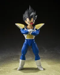 TAMASHII NATIONS VEGETA -24000 POWER LEVEL- "Dragon Ball Z", TAMASHII NATIONS S.H.Figuarts (P-Bandai Exclusive) - Dragon Ball Z - photo 1