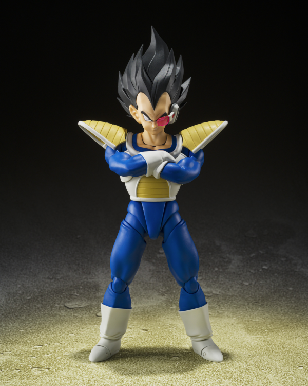 VEGETA -24000 POWER LEVEL- "Dragon Ball Z", TAMASHII NATIONS S.H.Figuarts (P-Bandai Exclusive)
