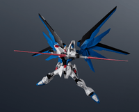 ZGMF-X10A FREEDOM GUNDAM RENEWAL 6