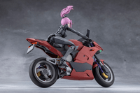 EMULATOR RIDING PACKAGE 4