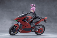 EMULATOR RIDING PACKAGE 1